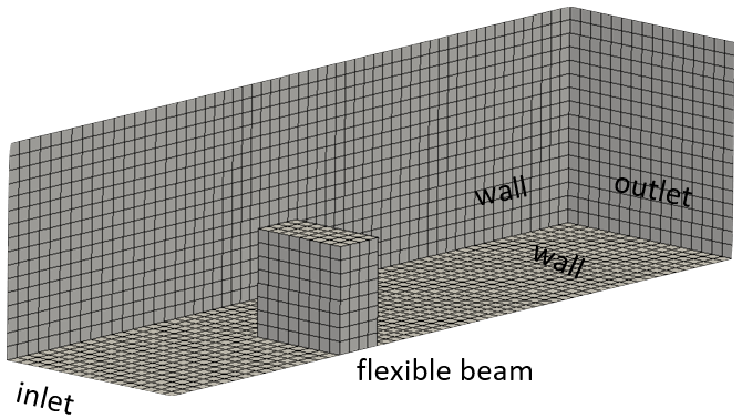 Case geometry and mesh