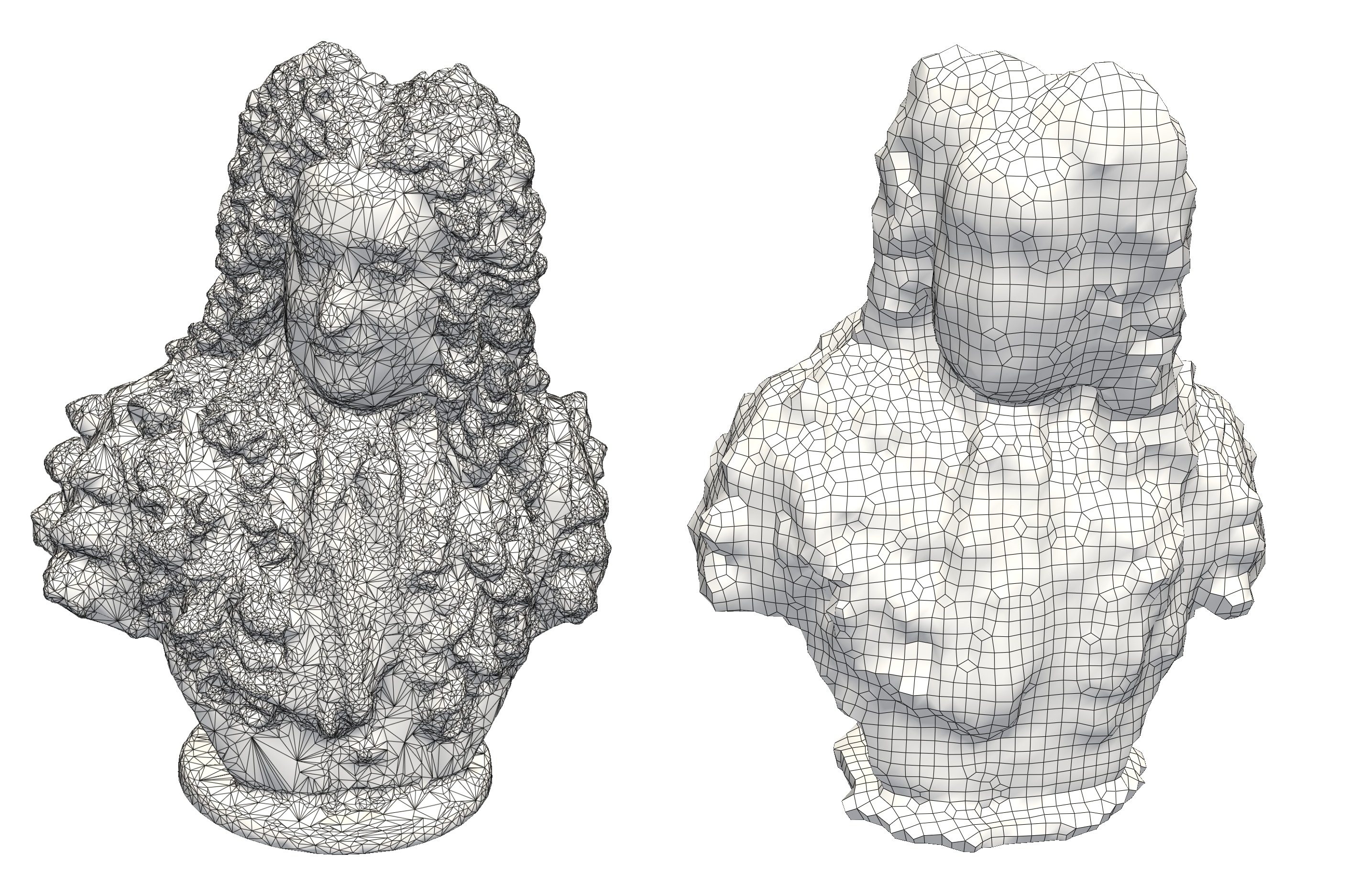 Figure 1: Input geometry and computational mesh
